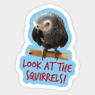 Look at the squirrels! Sticker